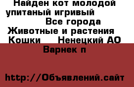 Найден кот,молодой упитаный игривый 12.03.2017 - Все города Животные и растения » Кошки   . Ненецкий АО,Варнек п.